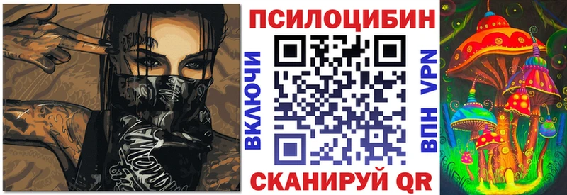 Псилоцибиновые грибы Cubensis  Среднеуральск 